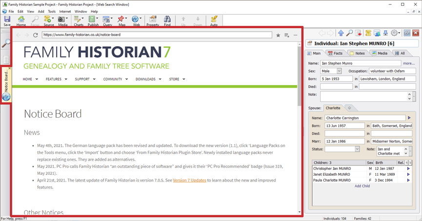 Web Search Window